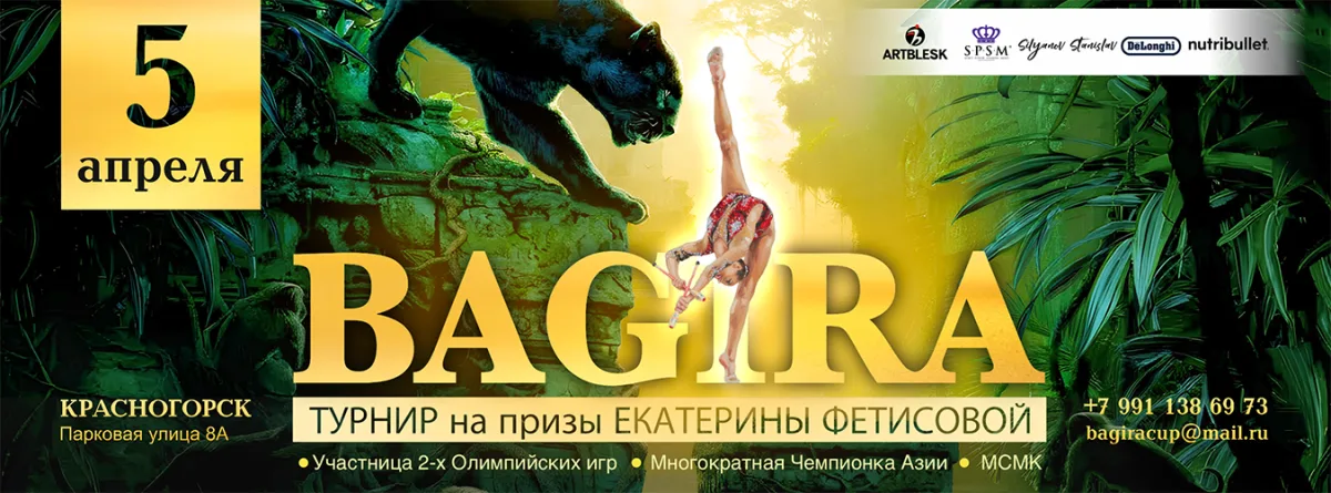 Открытый турнир по художественной гимнастике «BAGIRA»