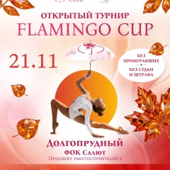 Flamingo Cup