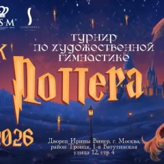 Кубок Гарри Поттера