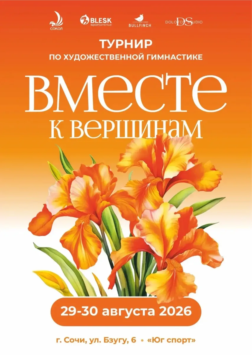 Турнир по художественной гимнастике «Вместе к вершинам»