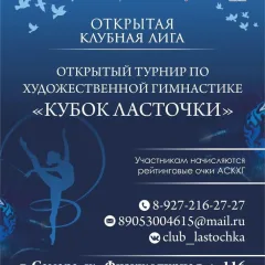 Кубок Ласточки
