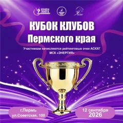 Кубок клубов Пермского края