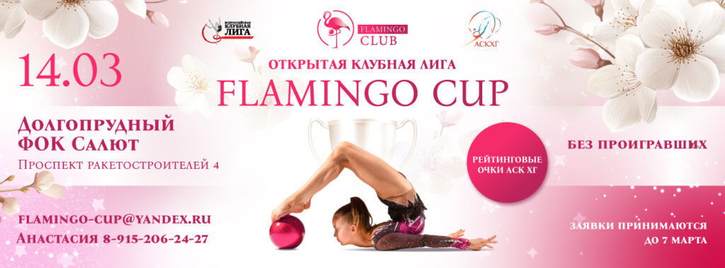 Открытая клубная лига «FLAMINGO CUP»