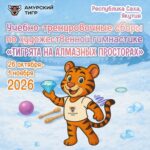 Изображение события: УТС по художественной гимнастике «Тигрята на алмазных просторах»