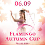 Изображение события: Открытый турнир по художественной гимнастике «Flamingo Autumn Cup»