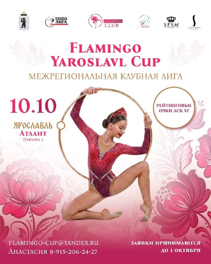 Flamingo Yaroslavl Cup